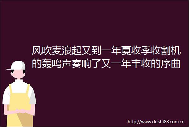 风吹麦浪起又到一年夏收季收割机的轰鸣声奏响了又一年丰收的序曲我国冬小麦主要是哪四大产区何时开镰收获一起来看看吧
