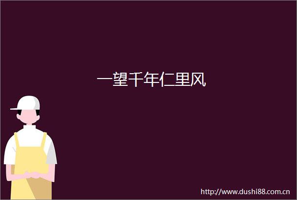 一望千年仁里风