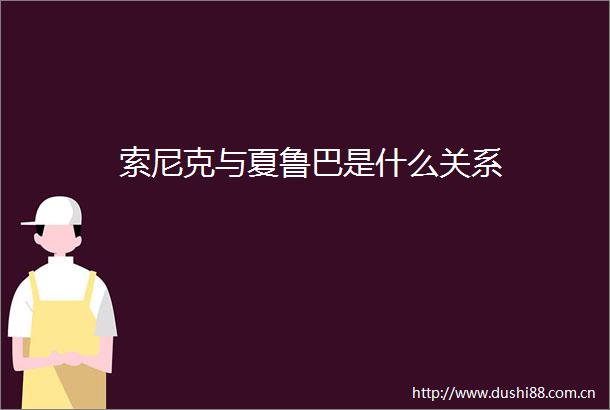 索尼克与夏鲁巴是什么关系