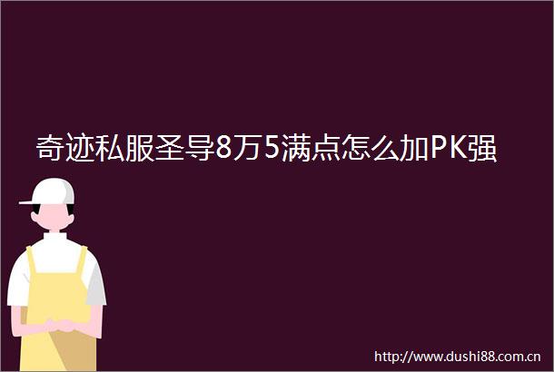 奇迹私服圣导8万5满点怎么加PK强