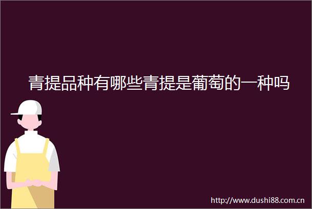 青提品种有哪些青提是葡萄的一种吗