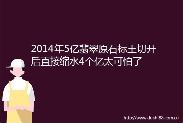 2014年5亿翡翠原石标王切开后直接缩水4个亿太可怕了