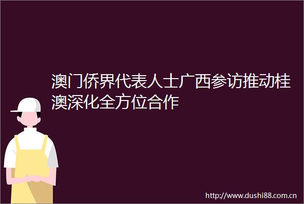 澳门侨界代表人士广西参访推动桂澳深化全方位合作