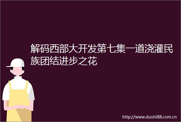 解码西部大开发第七集一道浇灌民族团结进步之花