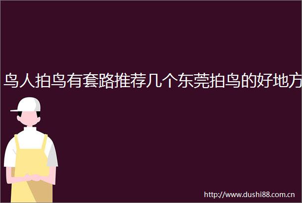 鸟人拍鸟有套路推荐几个东莞拍鸟的好地方