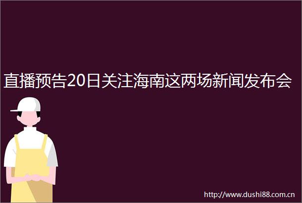 直播预告20日关注海南这两场新闻发布会