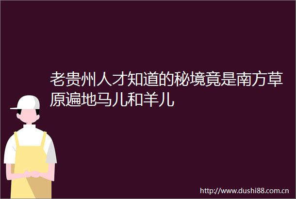 老贵州人才知道的秘境竟是南方草原遍地马儿和羊儿