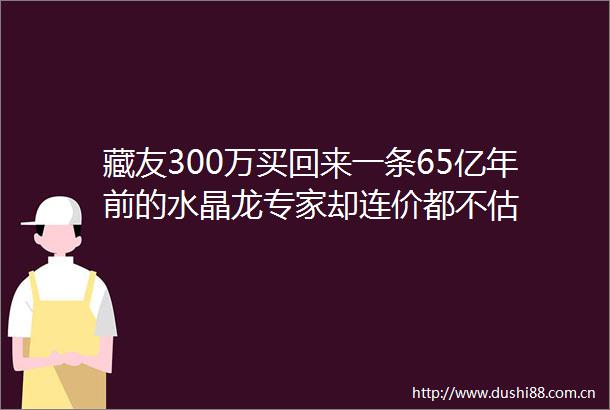 藏友300万买回来一条65亿年前的水晶龙专家却连价都不估