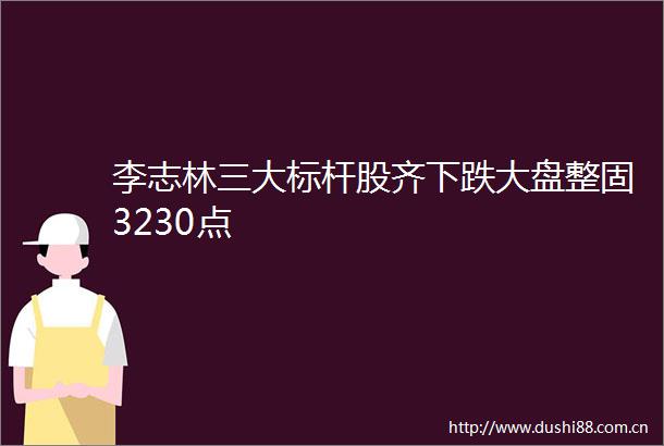 李志林三大标杆股齐下跌大盘整固3230点