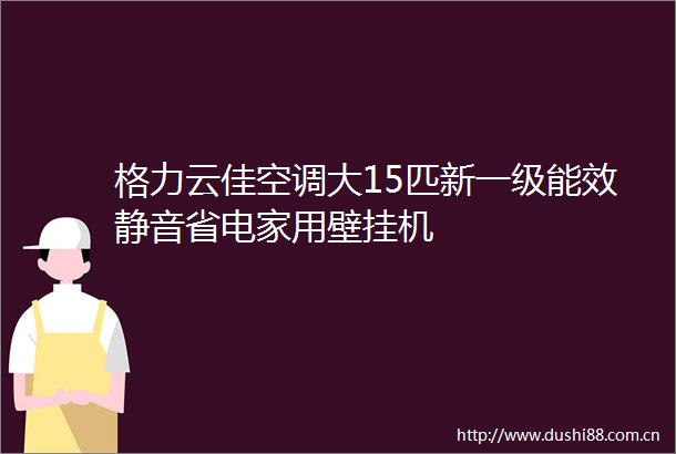 格力云佳空调大15匹新一级能效静音省电家用壁挂机