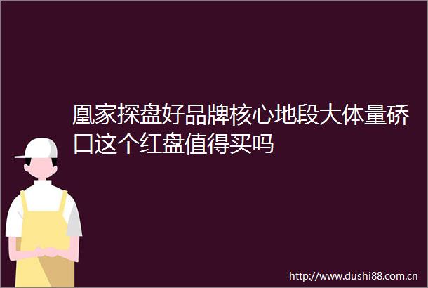 凰家探盘好品牌核心地段大体量硚口这个红盘值得买吗