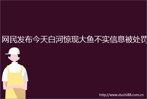 网民发布今天白河惊现大鱼不实信息被