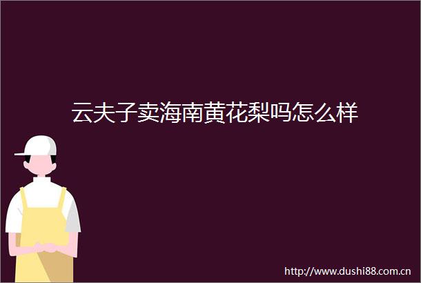 云夫子卖海南黄花梨吗怎么样