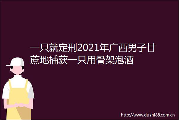 一只就定刑2021年广西男子甘蔗地捕获一只用骨架泡酒