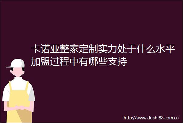 卡诺亚整家定制实力处于什么水平加盟过程中有哪些支持