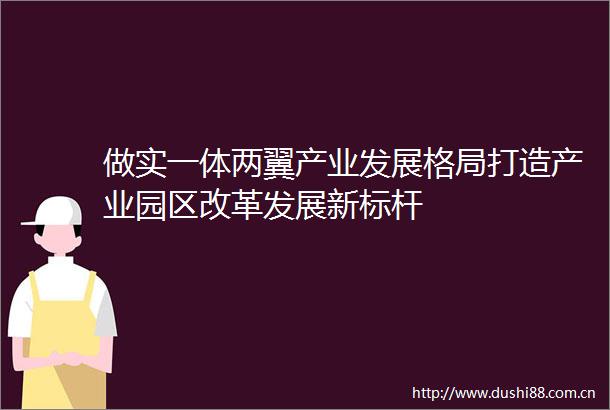 做实一体两翼产业发展格局打造产业园区改革发展新标杆