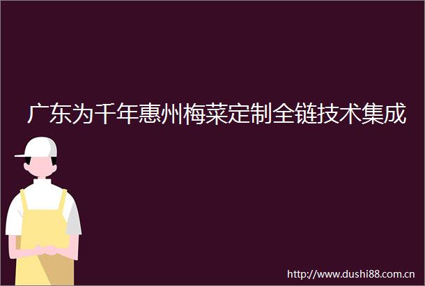 广东为千年惠州梅菜定制全链技术集成