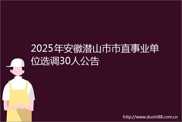 2025年安徽潜山市市直事业单位选调30人公告