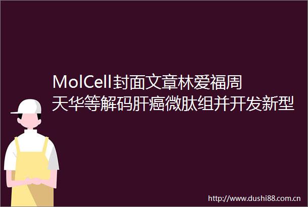MolCell封面文章林爱福周天华等解码肝癌微肽组并开发新型微肽类靶向药物前体