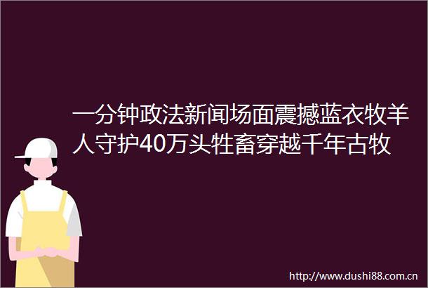 一分钟政法新闻场面震撼蓝衣牧羊人守护40万头牲畜穿越千年古牧道