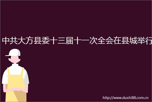 大方县委十三届十一次全会在县城举行