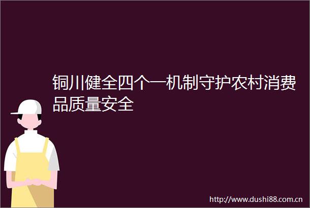 铜川健全四个一机制守护农村消费品质量安全