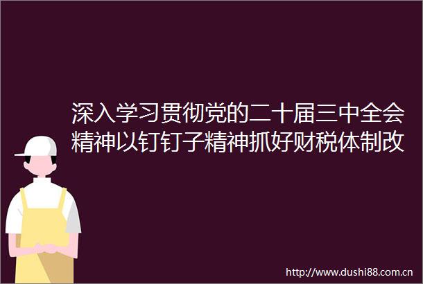 深入学习贯彻党的二十届三中全会精神以钉钉子精神抓好财税体制改革落实