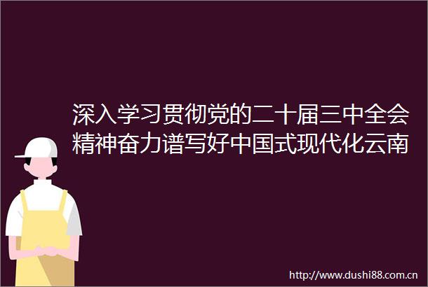 深入学习贯彻党的二十届三中全会精神奋力谱写好式现代化云南篇章