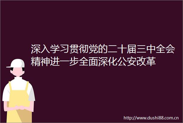 深入学习贯彻党的二十届三中全会精神进一步全面深化改革