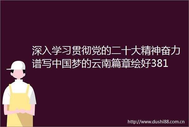 深入学习贯彻党的二十大精神奋力谱写梦的云南篇章绘好3815画卷重在起笔