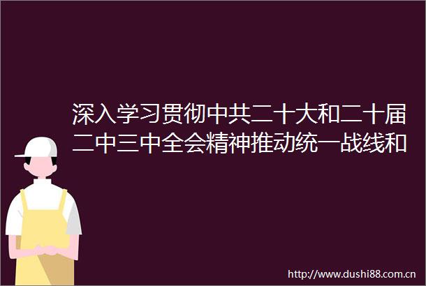 深入学习贯彻二十大和二十届二中三中全会精神推动统一战线和多党合作事业高质量发展