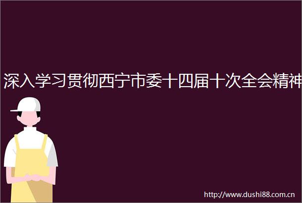 深入学习贯彻西宁市委十四届十次全会精神
