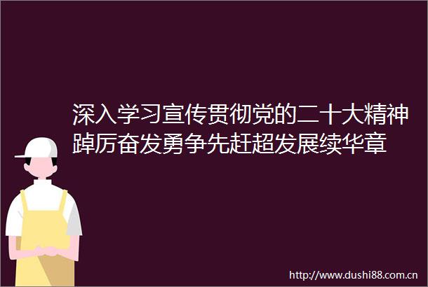 深入学习宣传贯彻党的二十大精神踔厉奋发勇争先赶超发展续华章