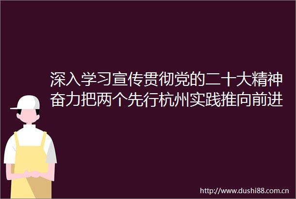 深入学习宣传贯彻党的二十大精神奋力把两个先行杭州实践推向前进
