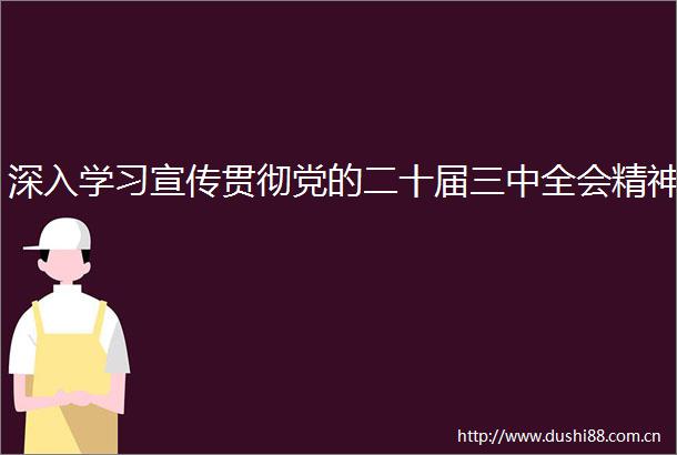 深入学习宣传贯彻党的二十届三中全会精神