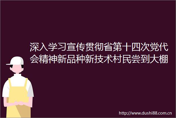 深入学习宣传贯彻省第十四次党代会精神新品种新技术村民尝到大棚种植甜头