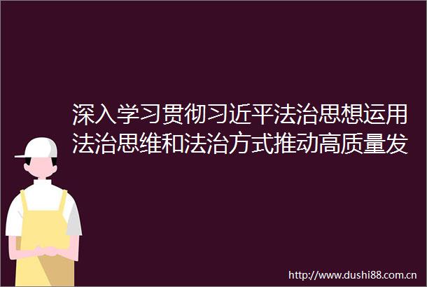 深入学习贯彻法治思想运用法治思维和法治方式推动高质量发展
