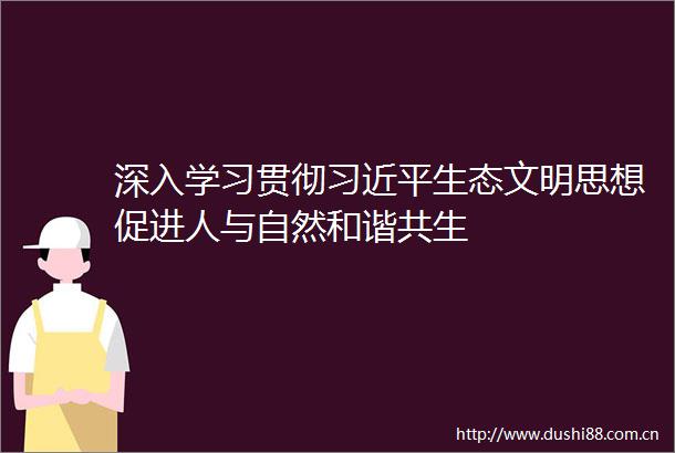 深入学习贯彻生态文明思想促进人与自然和谐共生