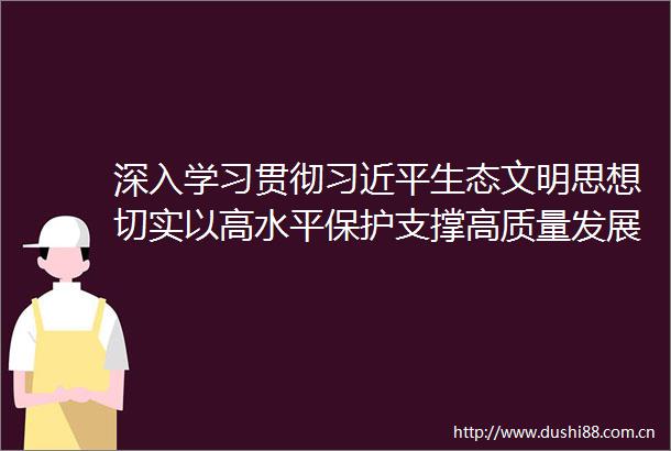 深入学习贯彻生态文明思想切实以高水平保护支撑高质量发展