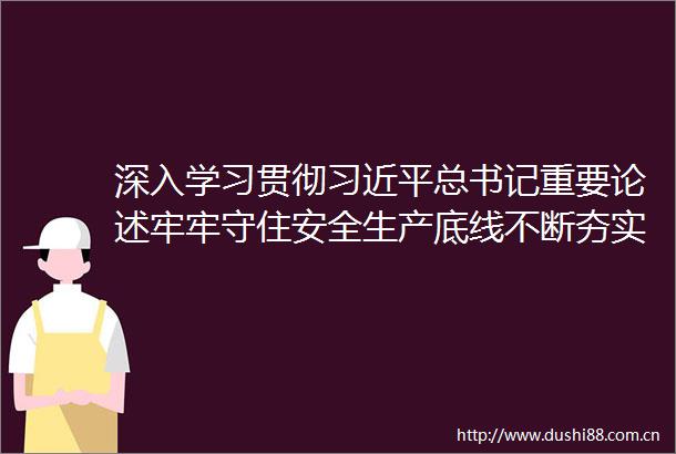 深入学习贯彻总书记重要论述牢牢守住安全生产底线不断夯实高质量发展安全根基
