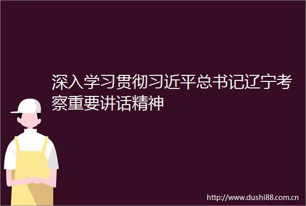 深入学习贯彻总书记辽宁考察重要讲话精神