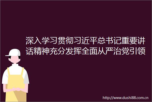 深入学习贯彻总书记重要讲话精神充分发挥全面从严治党引领保障作用