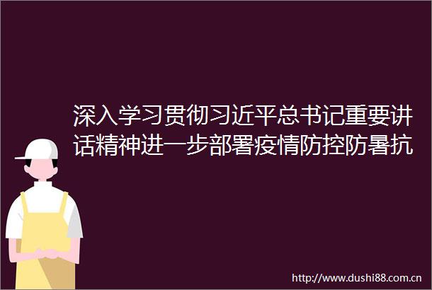 深入学习贯彻总书记重要讲话精神进一步部署疫情防控防暑抗旱电力保障等工作