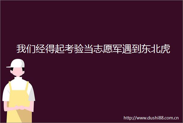 我们经得起考验当志愿军遇到东北虎