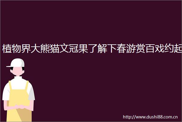 植物界大熊猫文冠果了解下春游赏百戏约起