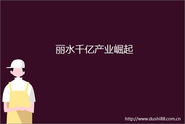 丽水千亿产业崛起