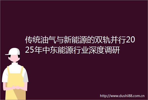 传统油气与新能源的双轨并行2025年中东能源行业深度调研