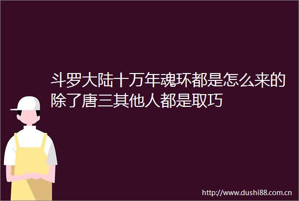 斗罗大陆十万年魂环都是怎么来的除了唐三其他人都是取巧