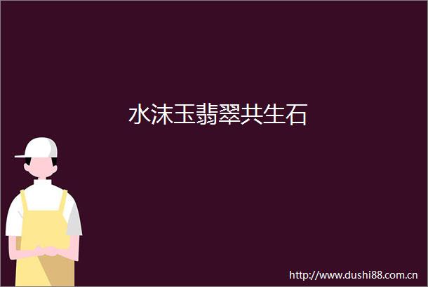 水沫玉翡翠共生石