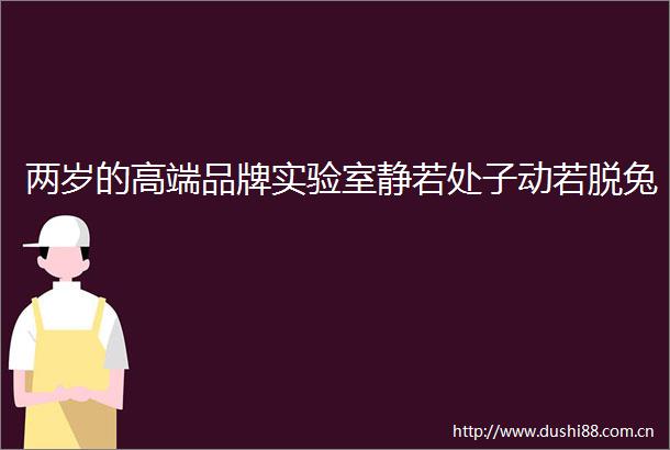 两岁的高端品牌实验室静若处子动若脱兔